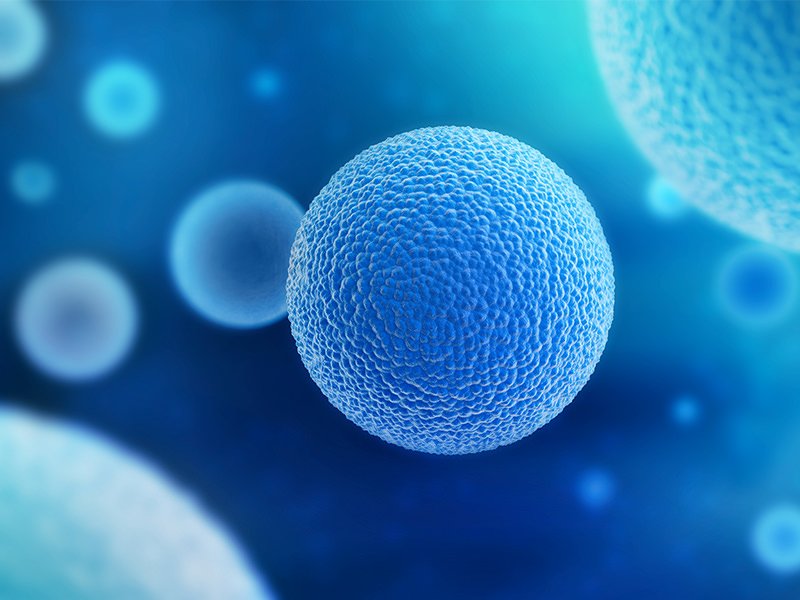 5 most important considerations when testing a new drug